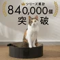 猫壱公式限定 バリバリボウル Black ブラック - 画像 (4)